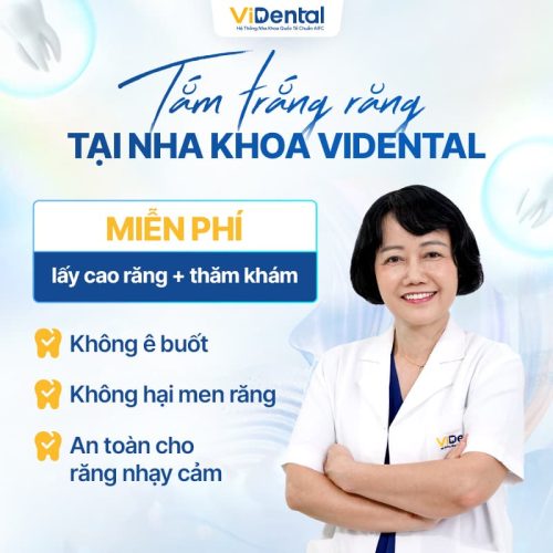 Đặt lịch tư vấn cùng ViDental Clinic